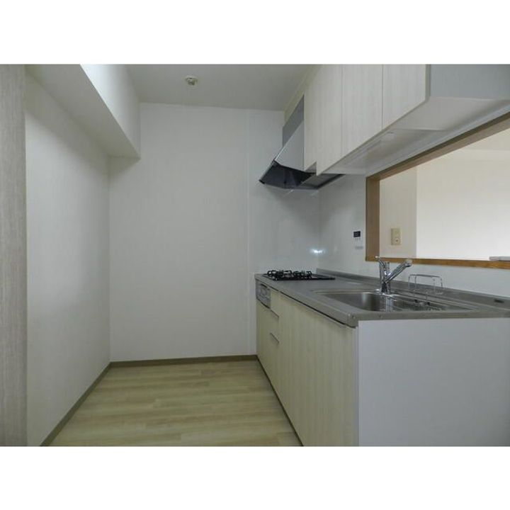 ラグジュアリーヒルズ松見町の内装