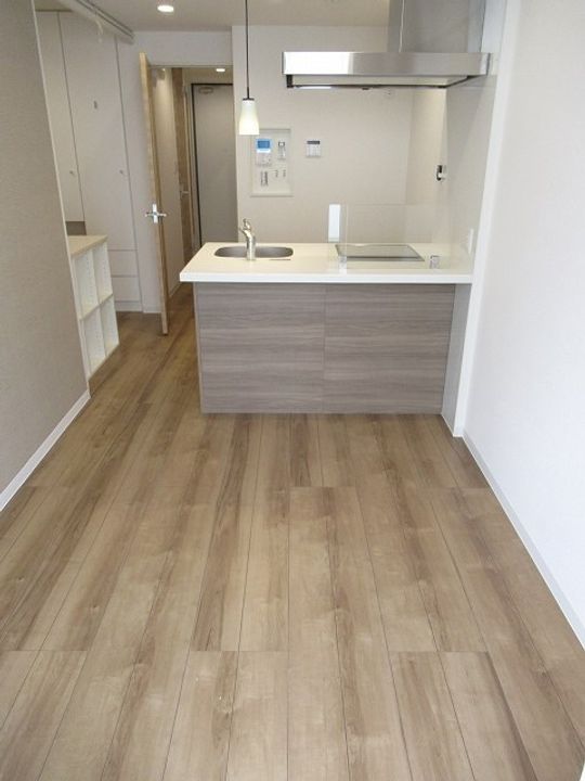 東京都練馬区中村3(マンション)の賃貸物件の居間