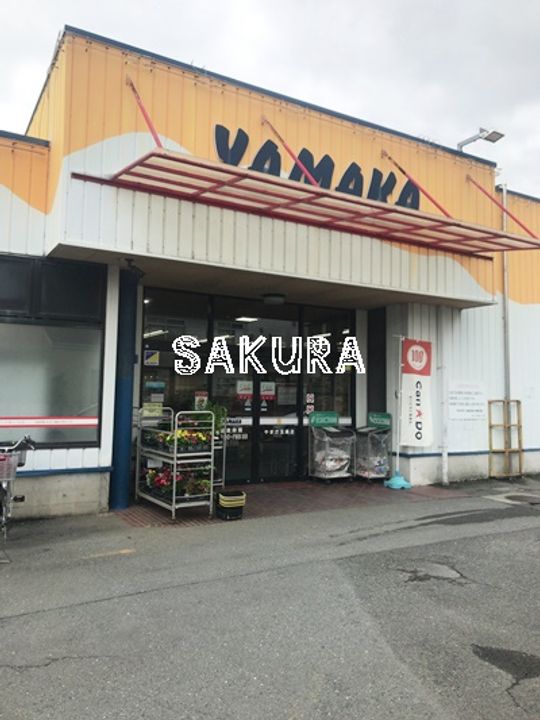 メゾンフラワーの周辺