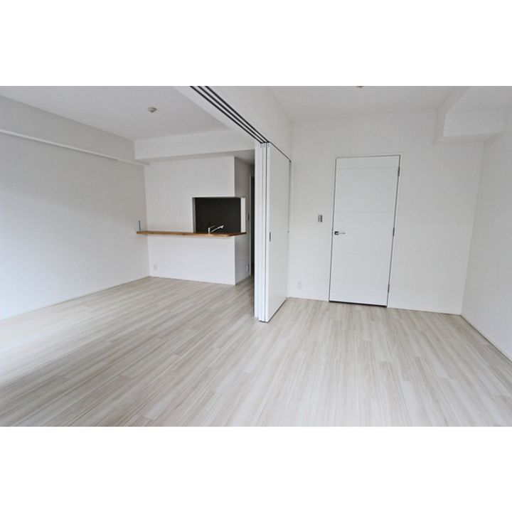 ヒューリックレジデンス新宿戸山の内装