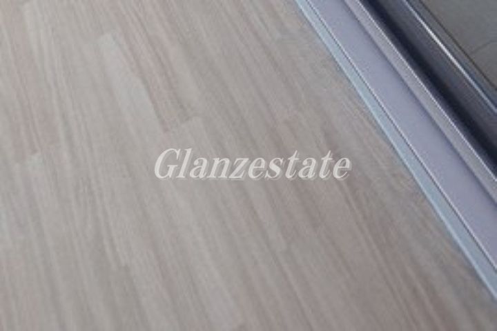 神奈川県川崎市幸区北加瀬1(マンション)の賃貸物件の内装