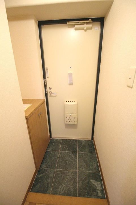 テラス辰の玄関
