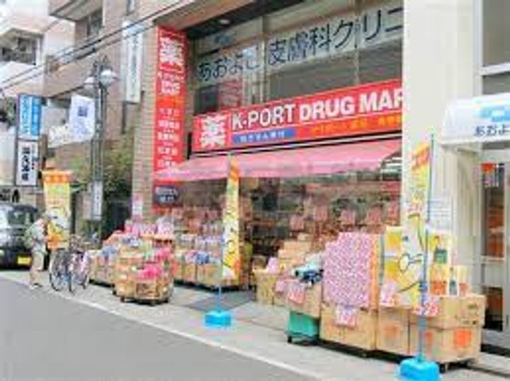 ライオンズマンション東品川の周辺