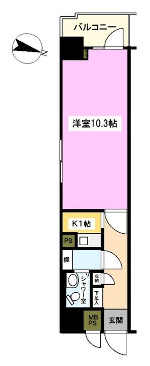 ライオンズプラザ平塚の間取り