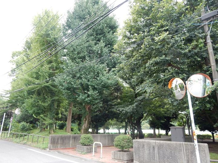 東京都杉並区成田東2(アパート)の賃貸物件の周辺