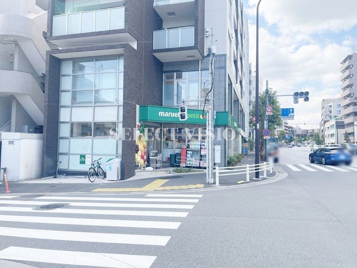 東京都新宿区下落合1(マンション)の賃貸物件の周辺