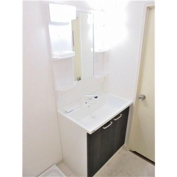 神奈川県川崎市中原区下小田中4(マンション)の賃貸物件の内装