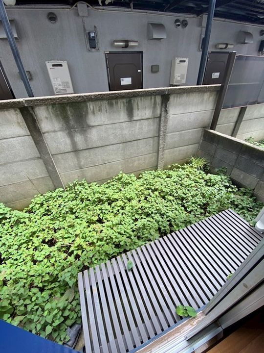 コーポ榛名の内装