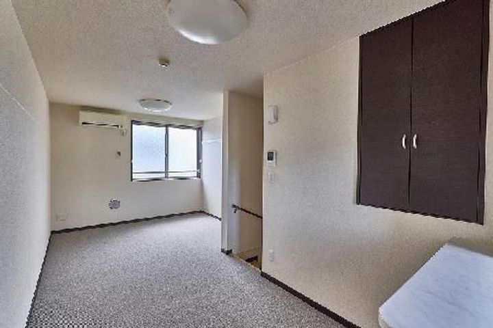 レオネクストカイトIIのその他画像