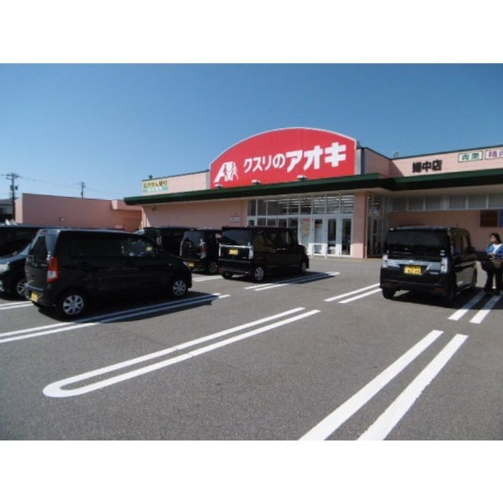 富山県富山市婦中町上田島(一戸建)の賃貸物件の周辺