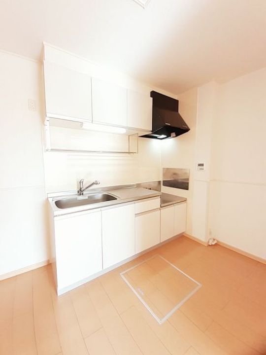 ダンデライオンAのキッチン