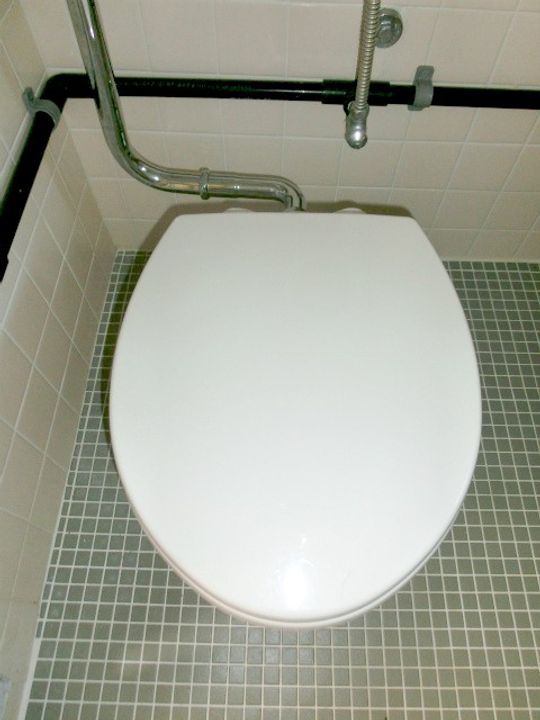 東京都板橋区向原3(マンション)の賃貸物件の内装