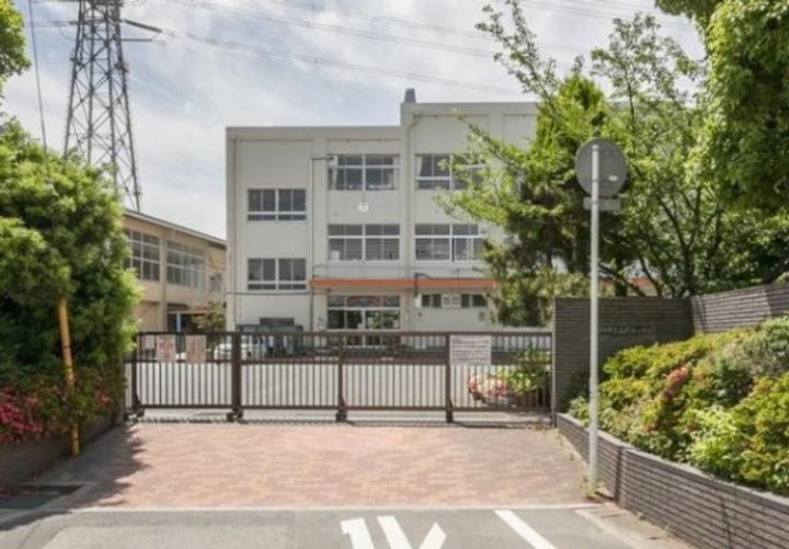 千葉県市川市日之出(マンション)の賃貸物件の周辺