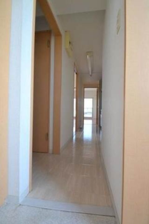 ロイヤルハイツ人見IIの玄関