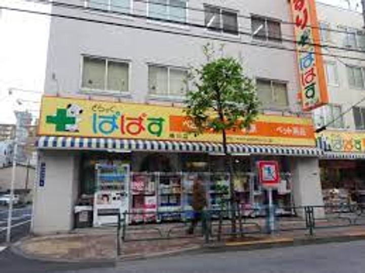 東京都墨田区横川4の賃貸マンションの周辺