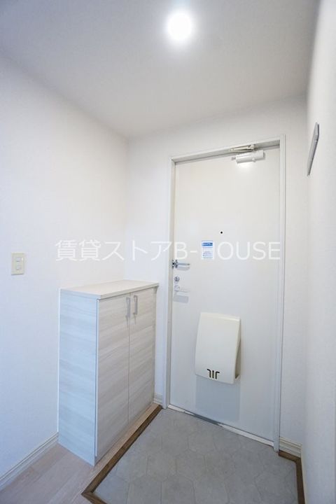 神奈川県伊勢原市岡崎(アパート)の賃貸物件の玄関