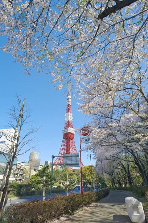 ICON PLACE SHIBAKOENの周辺