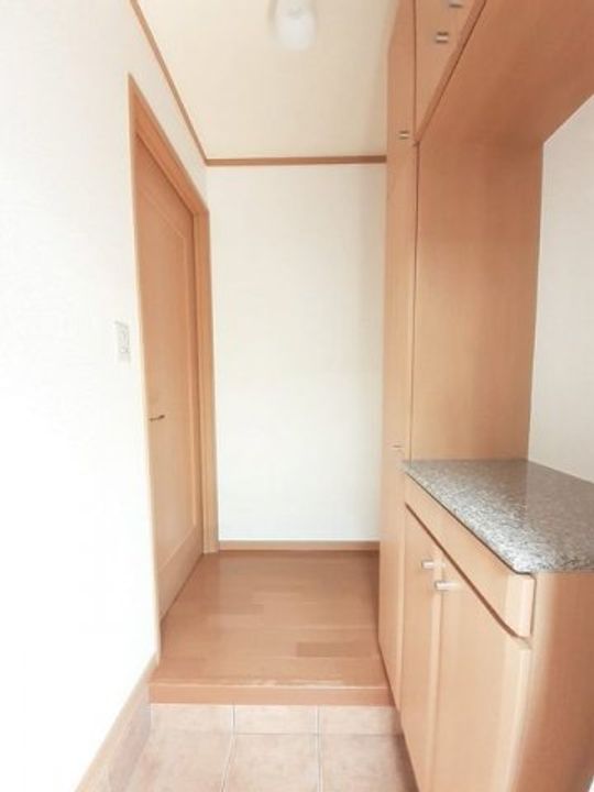 香川県三豊市豊中町下高野(アパート)の賃貸物件の玄関