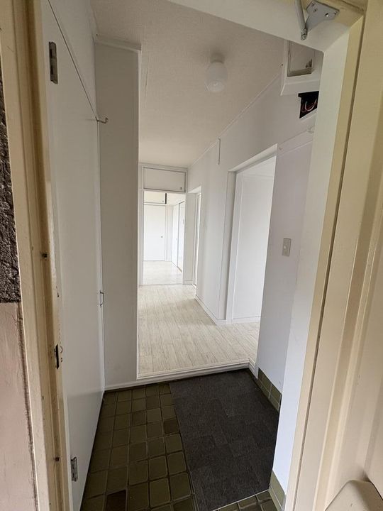 熊本県熊本市中央区保田窪1(マンション)の賃貸物件の玄関