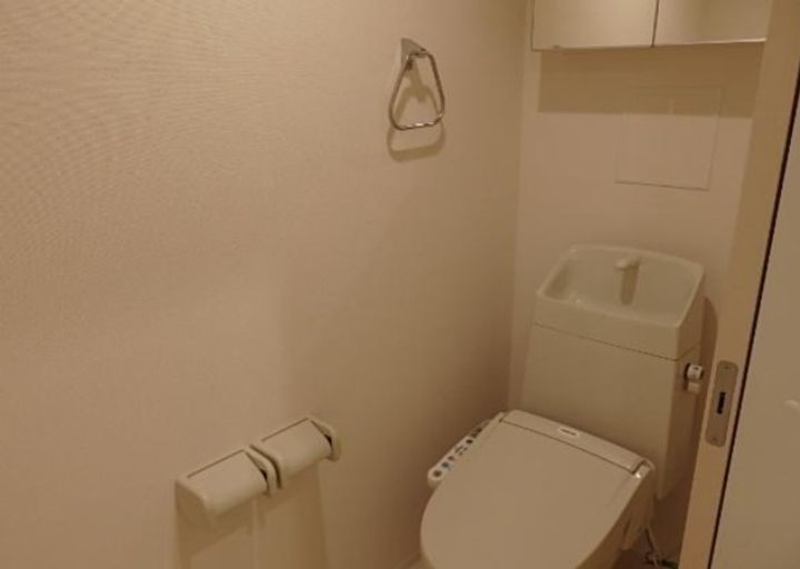 埼玉県新座市新堀1(アパート)の賃貸物件の内装