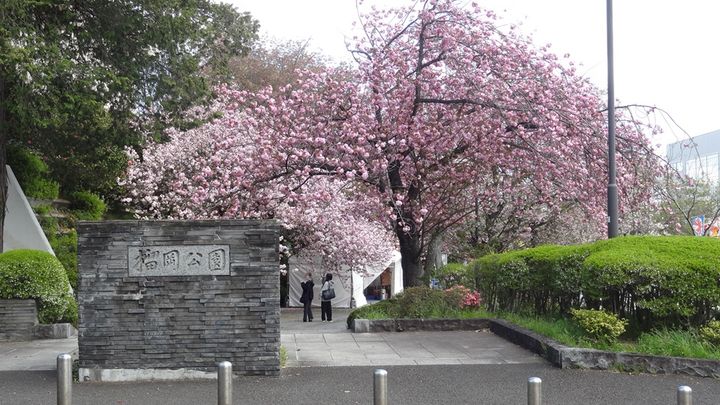 美由希壱番館の周辺