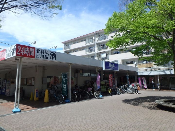 ジュネス小平の周辺