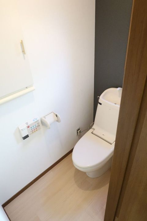 群馬県前橋市天川原町2(アパート)の賃貸物件の内装