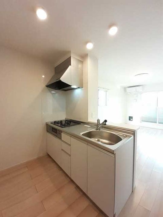 ニューパディーIIIのキッチン