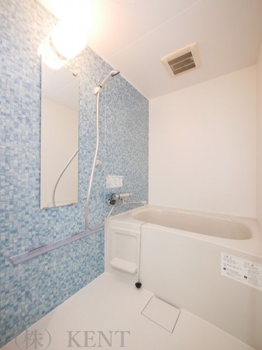 LANGRES HASSAMU(ラングルハッサム)の風呂