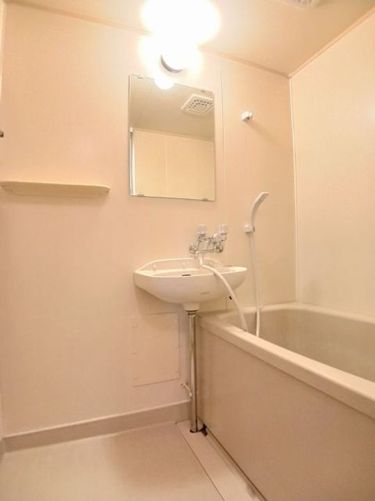 栃木県佐野市植下町(アパート)の賃貸物件の風呂