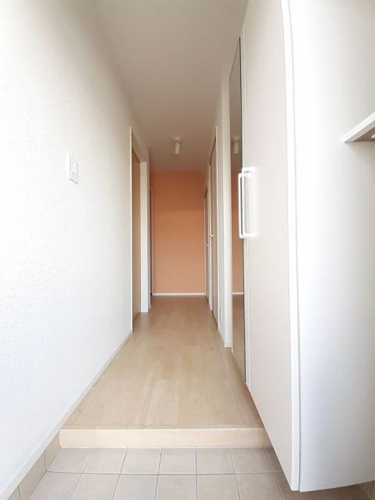 ハイソラーレ IIIの玄関