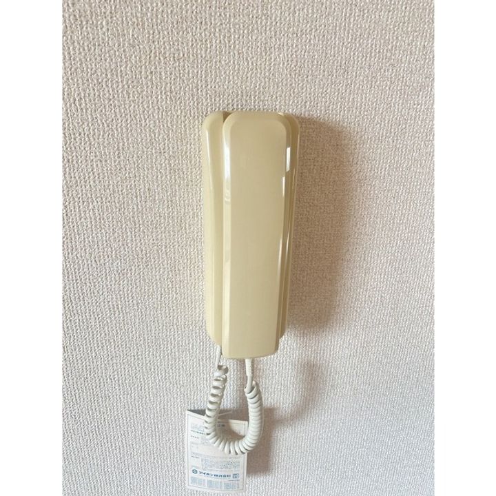 プラグレスKのその他画像