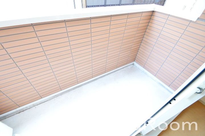 徳島県徳島市八万町下長谷(アパート)の賃貸物件の内装