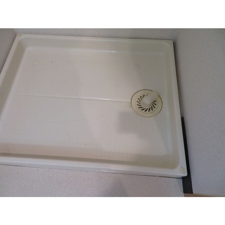 フォレストフローラの内装