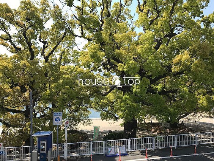 メインステージ武庫川のその他画像