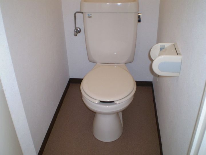 大阪府豊中市柴原町4の賃貸マンションの内装