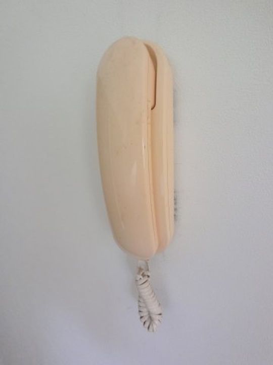 千葉県印西市木下東1(アパート)の賃貸物件の内装