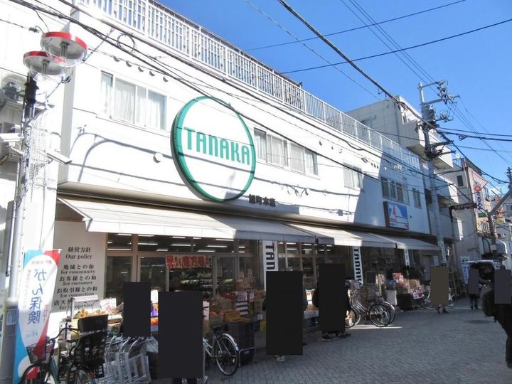 シナコバの周辺