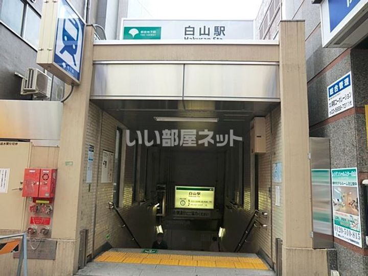 オーパスホームズ白山の周辺