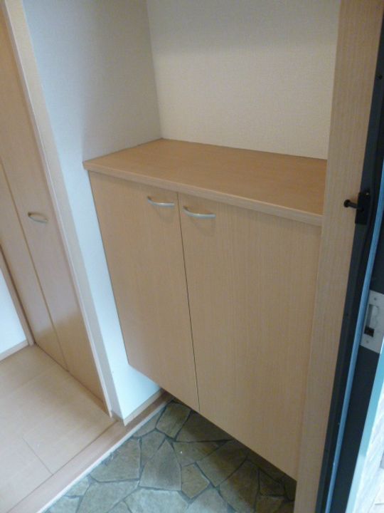 神奈川県伊勢原市下糟屋(アパート)の賃貸物件の玄関