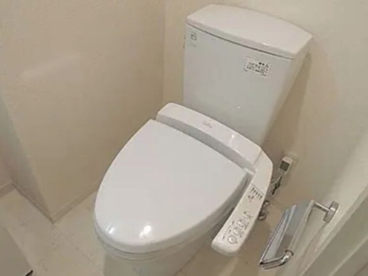 レヴィーガ板橋徳丸の内装