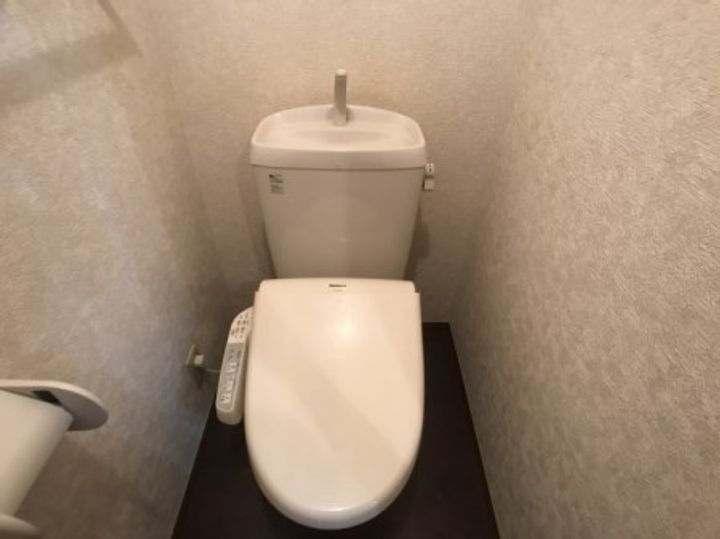 埼玉県吉川市中央2(アパート)の賃貸物件の内装