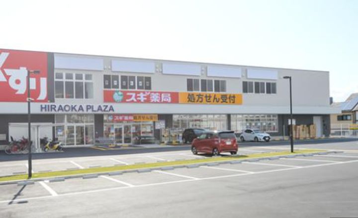プルメリアの周辺