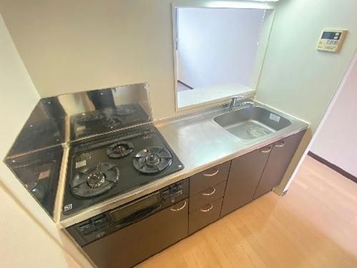 レオネクスト田園のキッチン