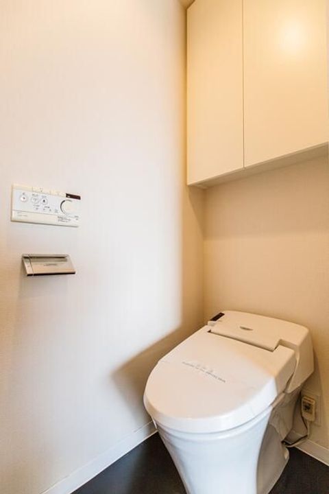 東京都板橋区南常盤台1(マンション)の賃貸物件の内装