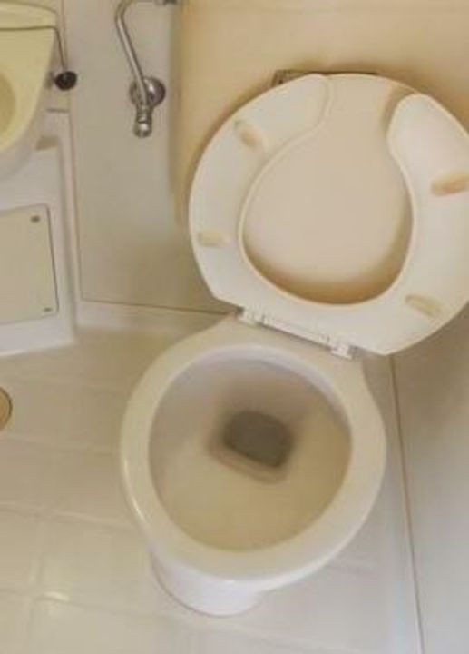 東京都江東区佐賀1(マンション)の賃貸物件の内装