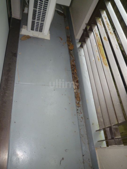 シティパレス京都東山の内装