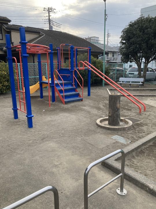 プルメリアの周辺