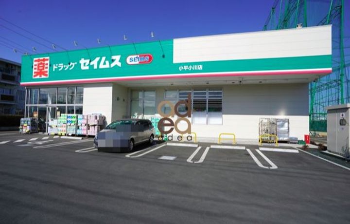 プルメリアの周辺