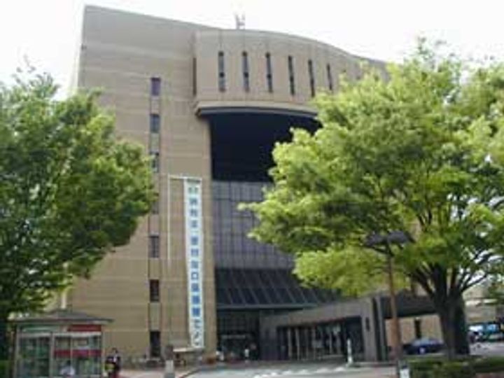 プルメリアの周辺